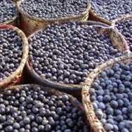 açai
