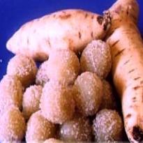 Foto por Tamires Vicentin